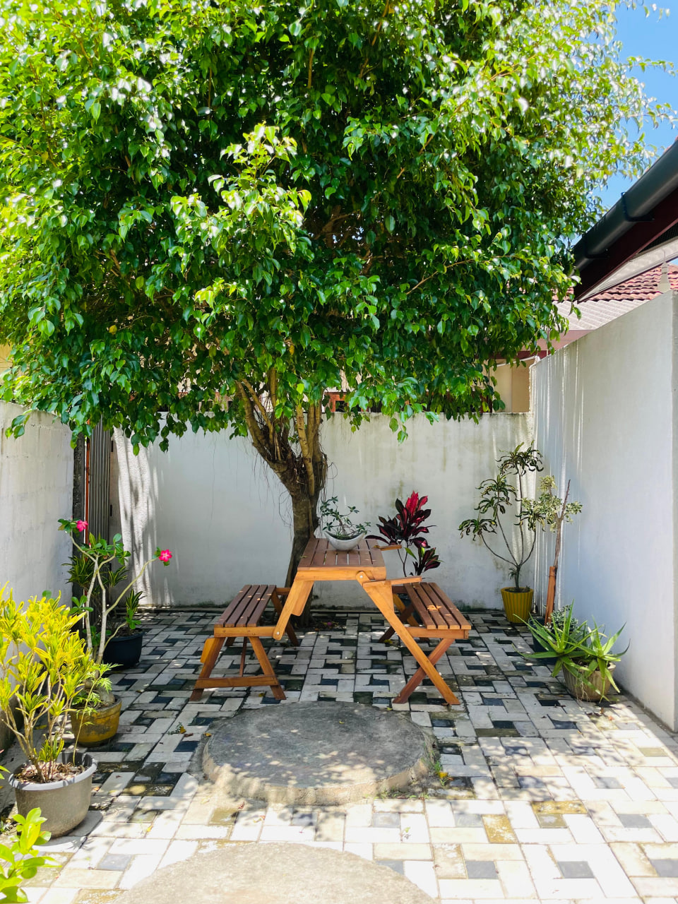 Dream Villa & Homestay Madiha Website